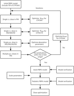 Application of a Physiologically Based Pharmacokinetic Model to Characterize Time-dependent Metabolism of Voriconazole in Children and Support Dose Optimization